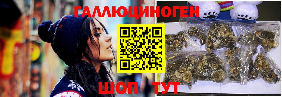 закладки  Вход с VPN  Рубцовск  Галлюциногенные грибы Cubensis 